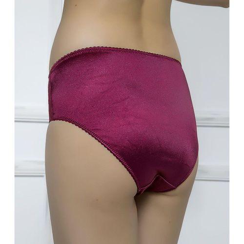 Kadın 3114 Dantel Detaylı Slip Külot