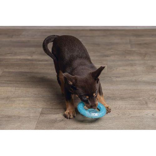 Beeztees Yavru Köpek Oyuncağı, Diş Kaşıma için Soğutulabilir, TPR, Mavi, 10x10x2,3cm