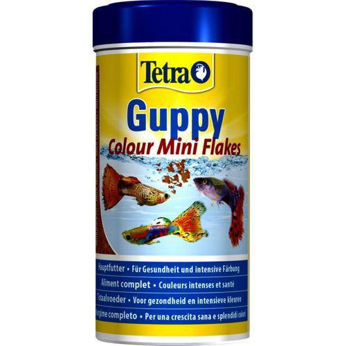 Tetra Guppy Colour Mini Flakes Lepistes Renk Yemi 250ml 75gr.