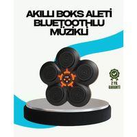 Ev Tipi Akıllı Boks Duvar Paneli Müzikli Bluetoothlu Refleks Geliştirme Cihazı