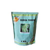 Yerli Cino Fasulye Tezeren (40 günlük) Fasulye Tohumu 1 Kg