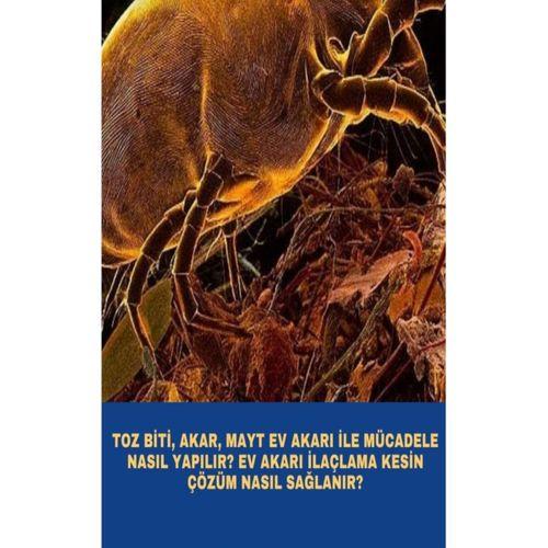 Toz Biti Akar Mayt Ev Akarı İle Mücadele Nasıl Yapılır? Ev Akarı İlaçlama Kesin Çözüm Eğitim E-kitap