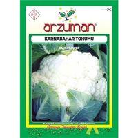 Karnabahar Tohumu (300 Adet)