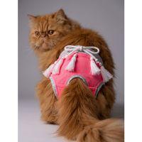 Neo Pink Dişi Kedi Regl Külotu | Don | Kedi İç Çamaşırı | Ayarlanabilir Bağcıklı | Küçük Irklar İçin