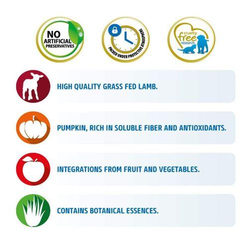 N&D Pumpkin Tahılsız Kuzu Küçük Irk Yetişkin Köpek Maması 2,5 Kg