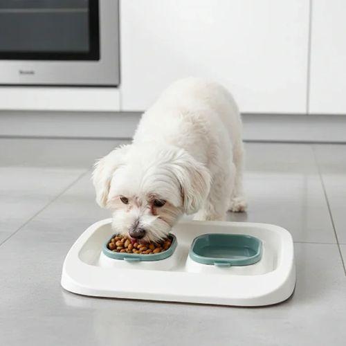 Mikopet Yeşil 2'si 1 Arada Mama Ve Su Kabı