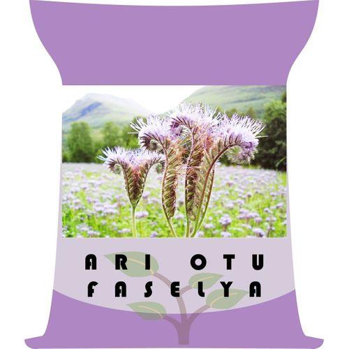 Arı Otu Tohumu (Faselya) 1 Kg