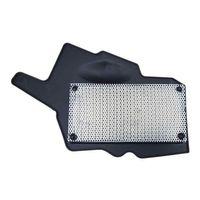 TVS Tvs Raider 125 Hava Filtre Elemanı