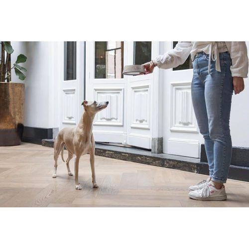 Beeztees DBL Köpek Mama Su Kabı, Mat Altın Rengi Paslanmaz Çelik, Bej Mermer Görünümlü, 17,5cm, 350m