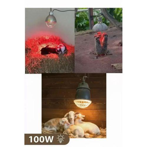 100w Kızılötesi (infrared) Isıtıcılı Hayvan Isıtma Ve Kuluçka Lambası (kırmızı Işık) E27 (kalın Duy)