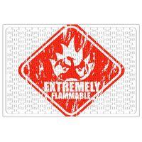 Pokémon Extremely Flammable Puzzle 240 Parça Yapboz