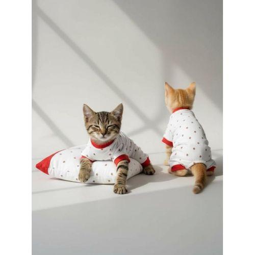 Berry Kedi Uyku Seti | Penye Kedi Tulum ve Mini Yastık Takımı | Pamuklu | Tüy Dökülmesini Azaltır |