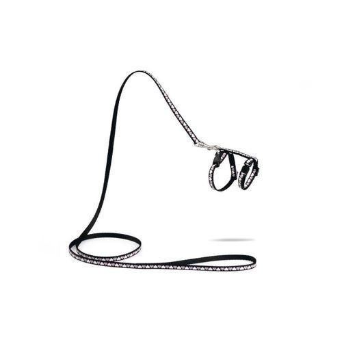 Beeztees Yavru Kedi Göğüs Tasması ve Gezdirme Kayışı 120cm, Siyah, 16-25cm Boyun, 23-36cm Göğüs