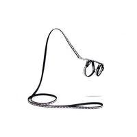 Beeztees Yavru Kedi Göğüs Tasması ve Gezdirme Kayışı 120cm, Siyah, 16-25cm Boyun, 23-36cm Göğüs