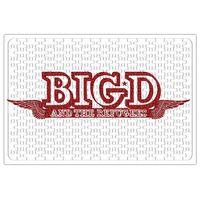 Bigd Logo Puzzle 240 Parça Yapboz