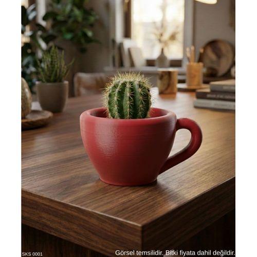 Kırmızı Mini Dekoratif Fincan Şeklinde Saksı – 6 Cm Masaüstü & Ofis Dekoru