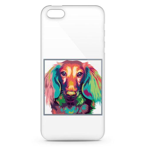 Apple iPhone 5 Kılıf Cooker Colorful Arka Kapak Koruma Desenli Full Koruyucu