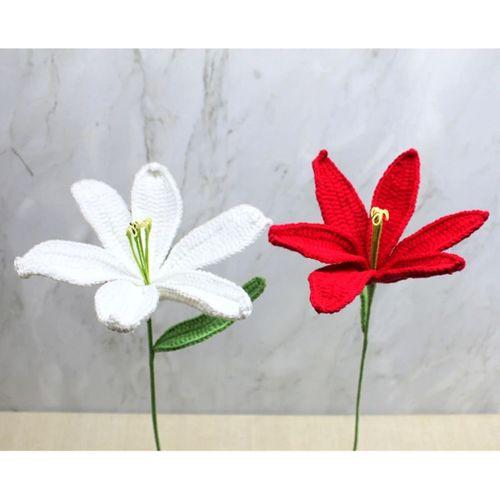 El Örgüsü Zambak Çiçeği