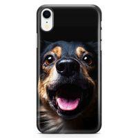 Apple iPhone XR Kılıf Spaniel Arka Kapak Koruma Desenli Full Koruyucu