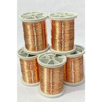 Filoğrafi Teli 0.30 mm 50 grm 5 Adet