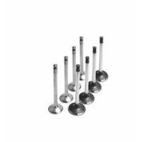 Proton 416 Carisma Subap Takimi 1,6 1,8 16V