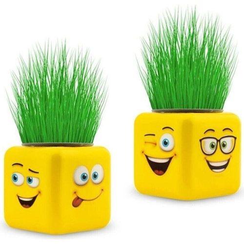 EVOSED Çimoji 4 Figürlü Emoji Küp Çim Adam
