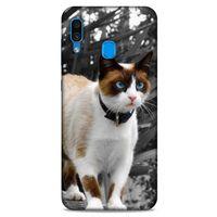 Lopard Samsung Galaxy A30 Uyumlu Kılıf Kediler (43) Thin Fit Kılıf Beyaz Kedi