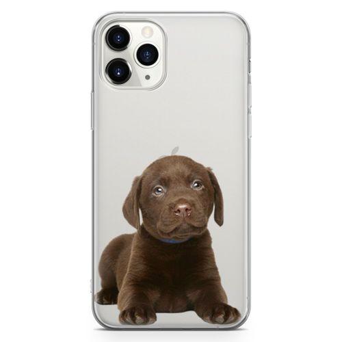 Apple iPhone 11 Pro Max Kılıf Yavru Labrador Arka Kapak Koruma Desenli Full Koruyucu