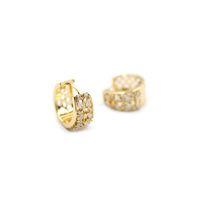 Taşlı Halka Küpe - Altın