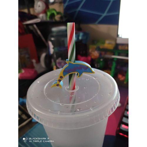 Dolphin Straw Topper - 5140294