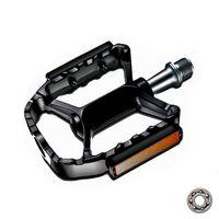 Pedal Rulmanlı Allride Alüminyum Epic