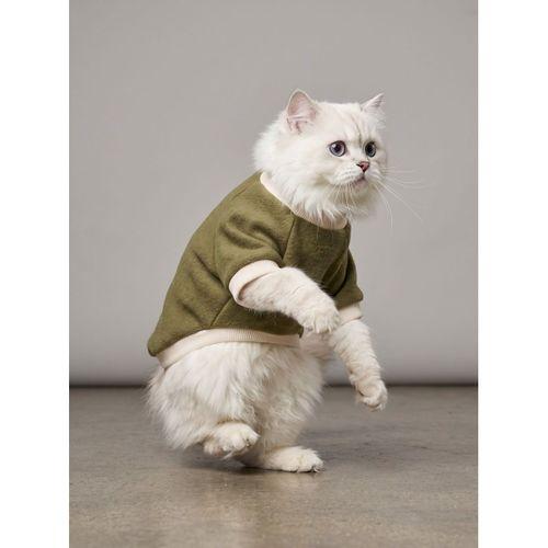 Natura Kedi Polar Sweatshirt | Kapüşonsuz Yumuşak Polar Kedi Kıyafeti | Nefti Yeşil