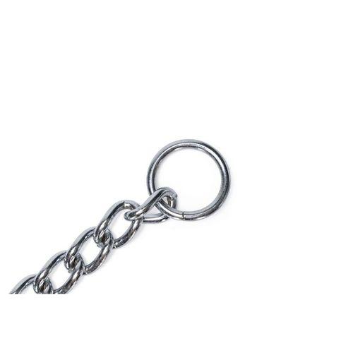 Beeztees Köpek Boyun Tasması, Zincir, 80x1x0,40cm