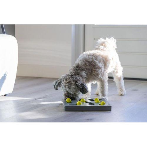 Beeztees Köpek Zeka Geliştirme Oyuncağı, 28x28x4,5cm