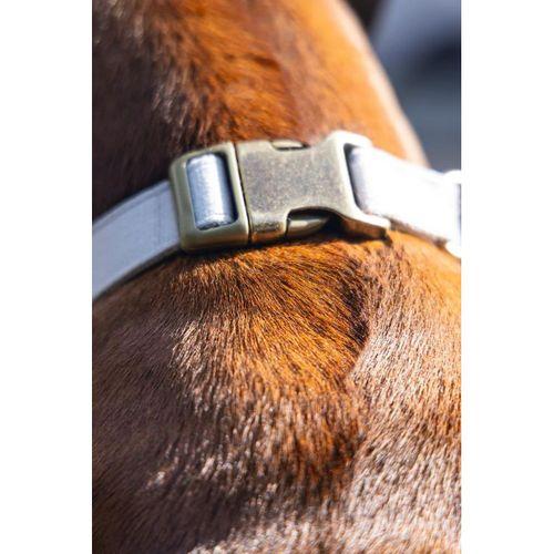 Beeztees DBL Köpek Tasması, Kadife, Gri, 48-70cm, 25mm