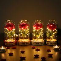 Renkli Toplu Ledli Gül Fanus