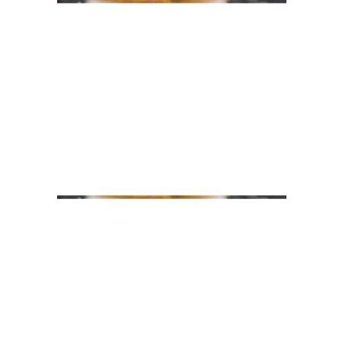 Pandomim New Life 350ml Çelik French Press Royaleks-FP350