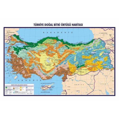 Türkiye Doğal Bitki Örtüsü Haritası 70x100 cm