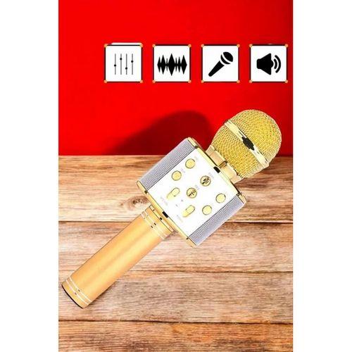 Şarjlı Ve Uzun Pil Ömürlü Karaoke Mikrofon Usb Bellek Destekli, Profesyonel Ses