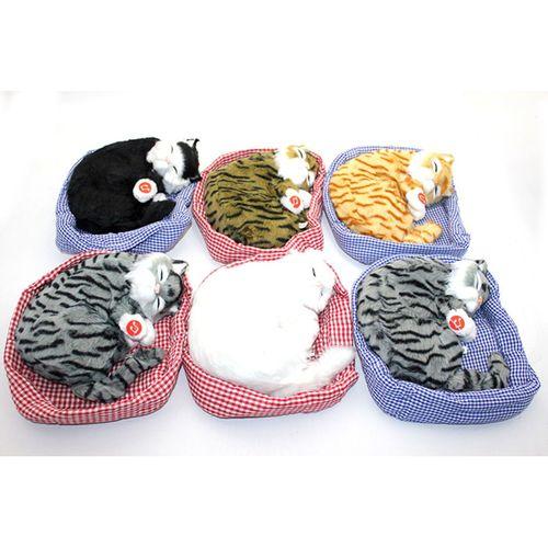 Yastıkda Uyuyan Horlayan Kedi Sesli