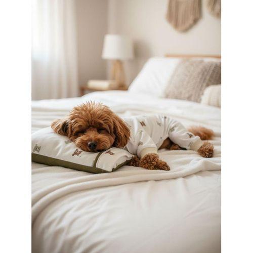 Teddy Chic Köpek Uyku Takımı | Pamuklu Penye Köpek Tulumu ve Mini Yastık | Küçük Irklar İçin | Tüy Dökülmesini Azaltır