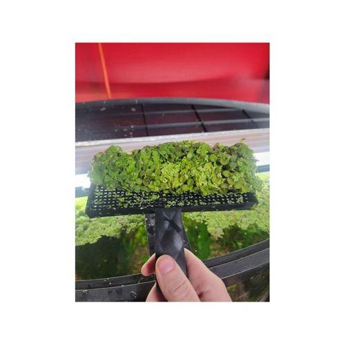 Su Mercimeği Temizleyici Aparat (Bu ürün Sadece Plastik parçadır - Almadan Önce Soru Sorabilirsiniz)