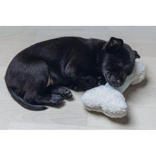 Beeztees Yavru Köpek Oyuncağı, Sesli, Kemik, Peluş, Beyaz, 21x10,5x5cm