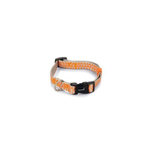 Beeztees Köpek Boyun Tasması, Açık Gri Turuncu, 26-40cm