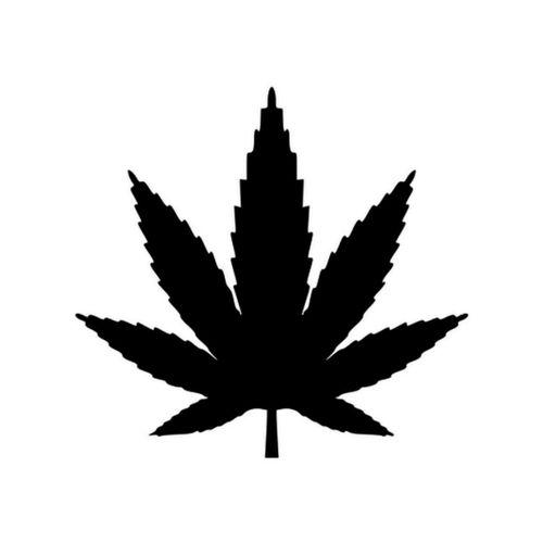 Hindistan Cevizi Yaprağı Şablonu Hava Fırçası İçin (Bu ürün Sadece Plastik parçadır - Almadan Önce Soru Sorabilirsiniz)