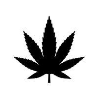 Hindistan Cevizi Yaprağı Şablonu Hava Fırçası İçin (Bu ürün Sadece Plastik parçadır - Almadan Önce Soru Sorabilirsiniz)