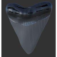 Megalodon köpekbalığı diş kopyası kolye - 5137075