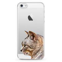 Apple iPhone 5 Kılıf Siberian Cat Arka Kapak Koruma Desenli Full Koruyucu
