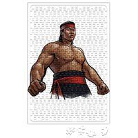 Bolo Puzzle 240 Parça Yapboz