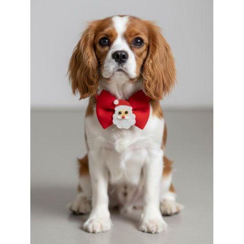 Rudolph Küçük Irk Köpek Papyon Tasması | Kırmızı Fiyonk Boyun Aksesuarı | Noel Temalı Köpek Süsü